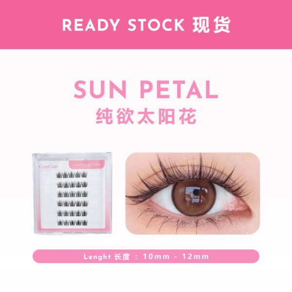 Sun Petal 纯欲太阳花
