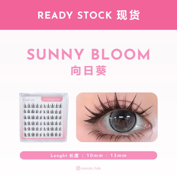 Sunny Bloom 向日葵