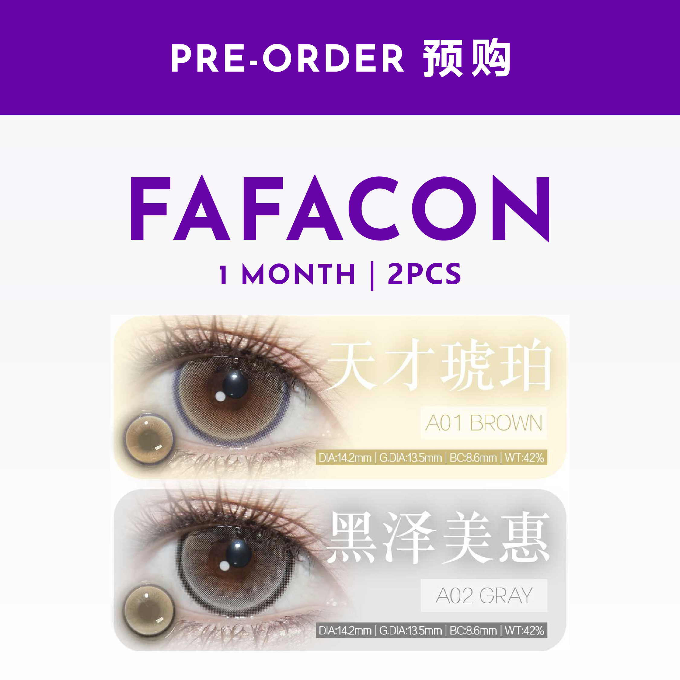 Fafacon | 1 Months