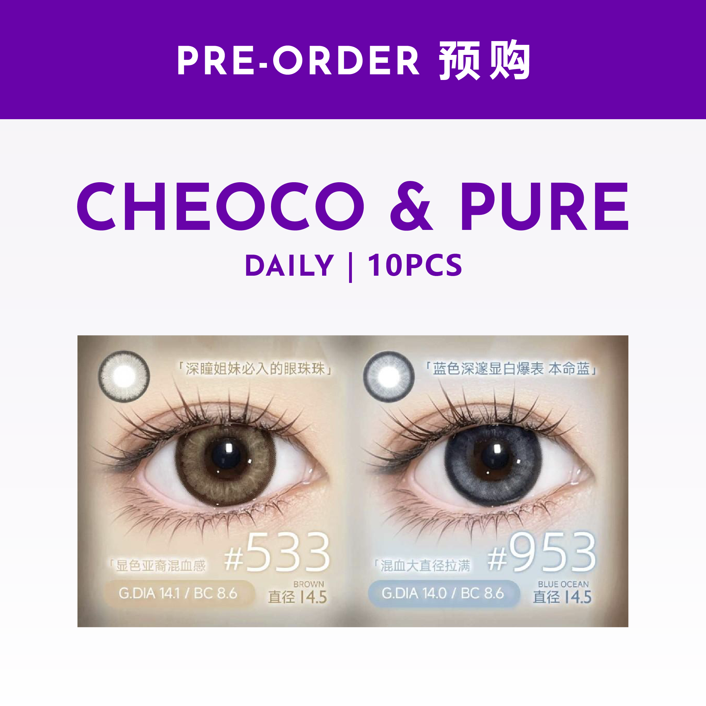 Cheoco | Daily